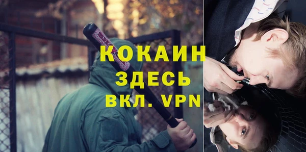 шишки Пестово